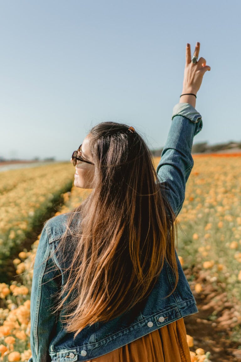 How to Organize Your Life in One Week,  How to Organize Your Life