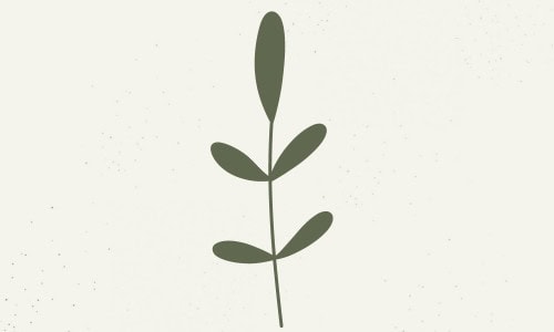 Self-Discovery - Interests