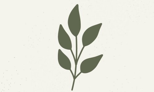 Self-Discovery - Identity