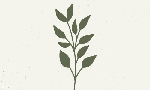Self-Discovery - Values