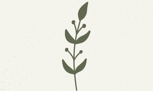 Self-Discovery - Self-Love