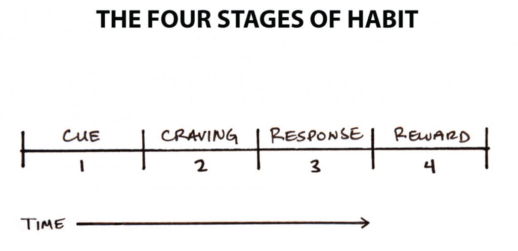 Atomic Habits Summary: Habit Loop explained
