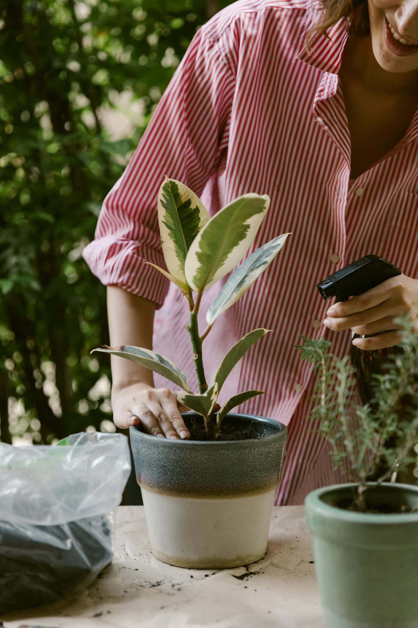How to get my life together: a woman watering her plant.