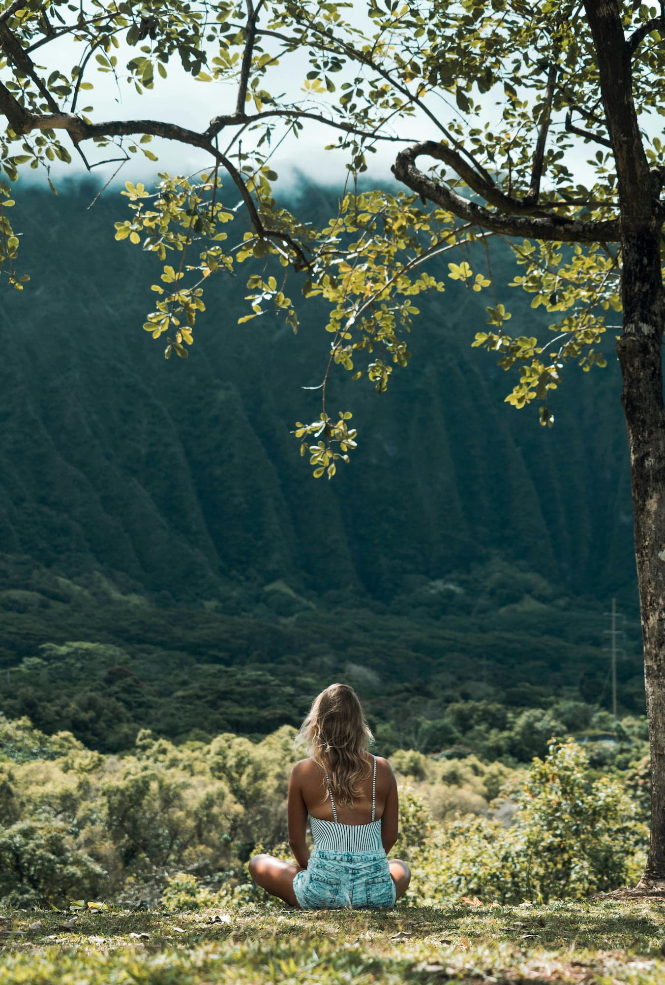 Law Of Relativity: Transform Your Perspective For Growth