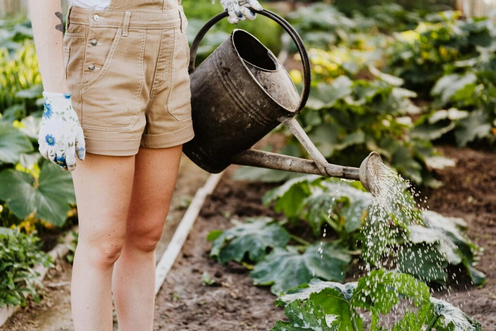 Woman watering plants - Law Of Relativity: Transform Your Perspective For Growth