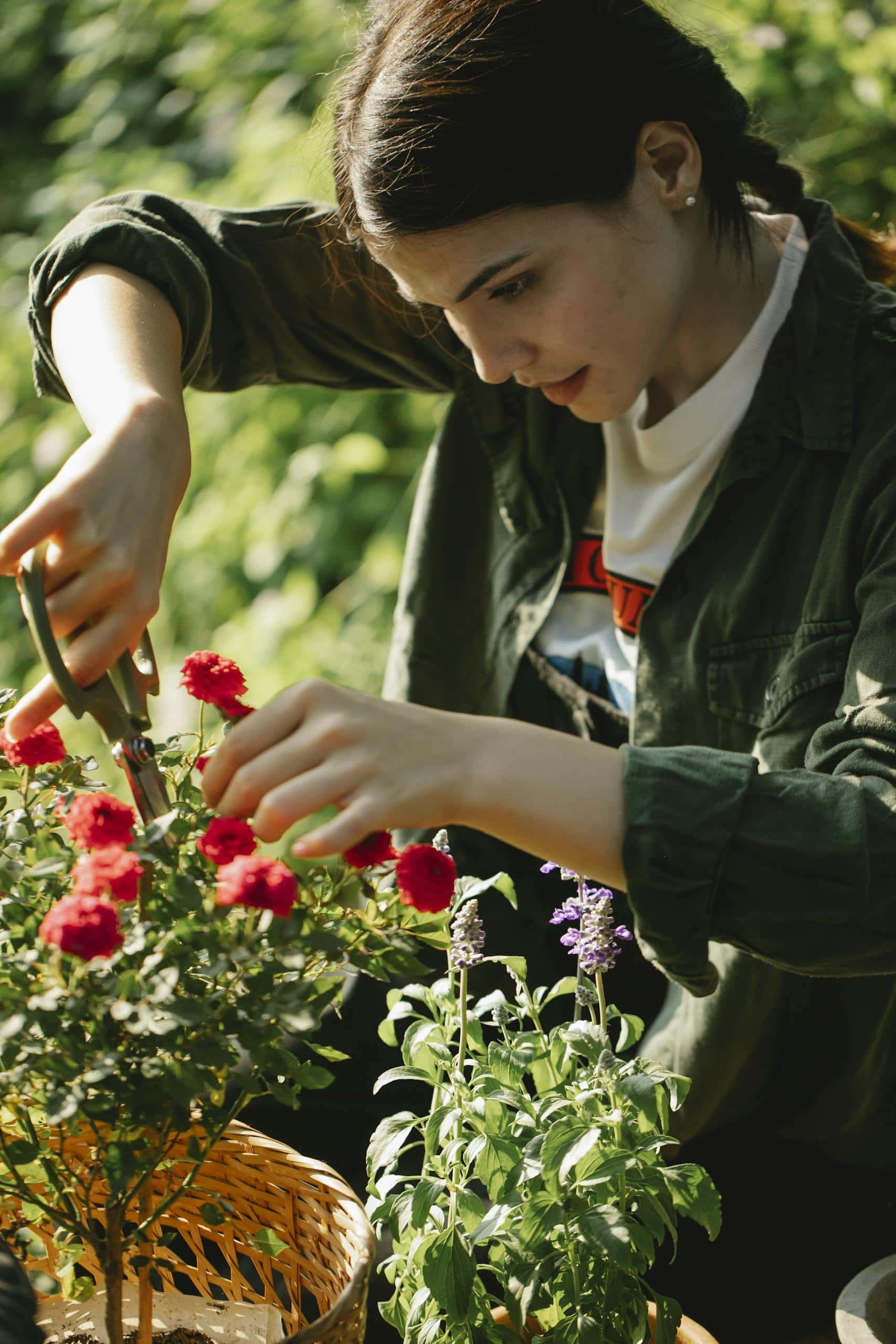 A focused woman carefully pruning flowers in a sunlit garden, highlighting a gardener's precision. - How To Improve Concentration: 10 Real-Life Tips That Work