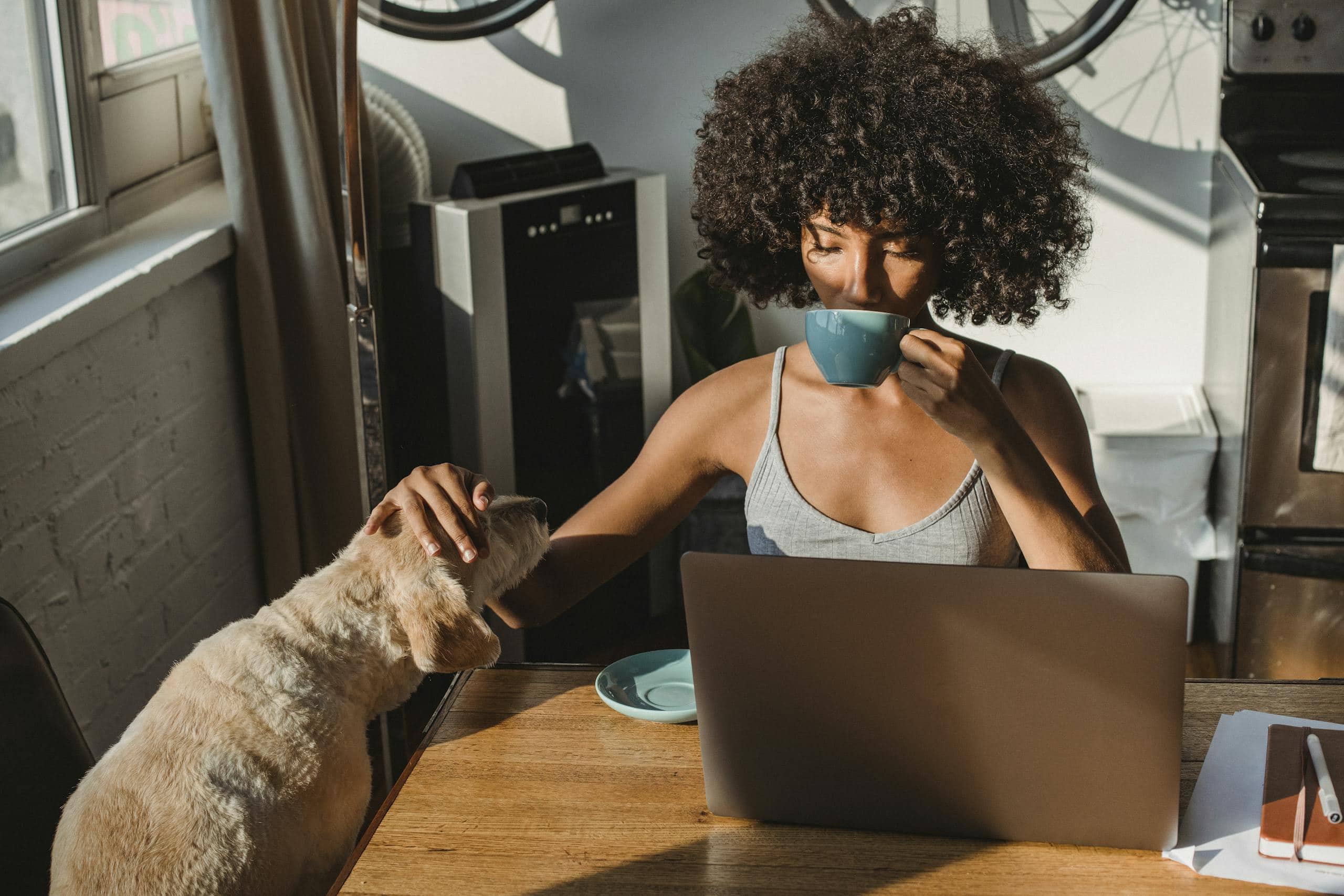 Concentrated young black woman working remotely on netbook while sitting in room at table and drinking coffee while petting dog - How To Improve Concentration: 10 Real-Life Tips That Work